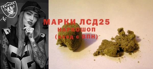 ПСИЛОЦИБИНОВЫЕ ГРИБЫ Волосово