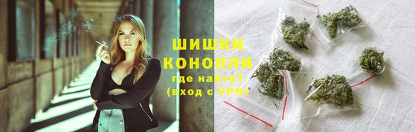 ПСИЛОЦИБИНОВЫЕ ГРИБЫ Волосово