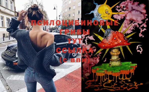 ПСИЛОЦИБИНОВЫЕ ГРИБЫ Волосово