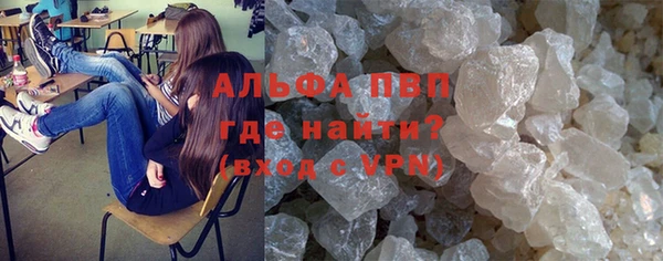 ПСИЛОЦИБИНОВЫЕ ГРИБЫ Волосово