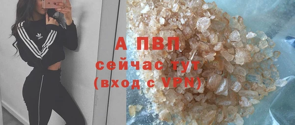 ПСИЛОЦИБИНОВЫЕ ГРИБЫ Волосово