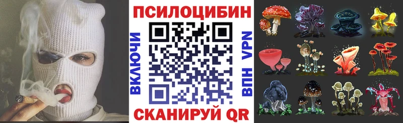 где купить наркоту  Карабаш  Галлюциногенные грибы Cubensis 